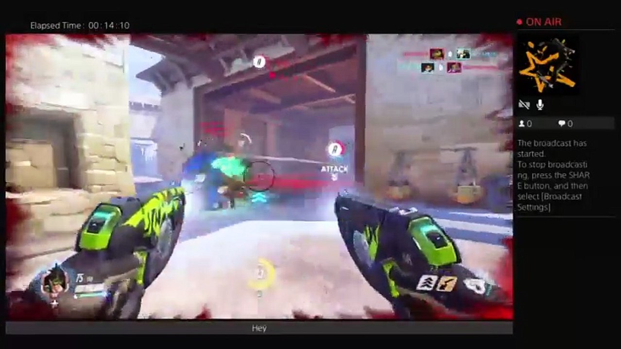 Overwatch (5)