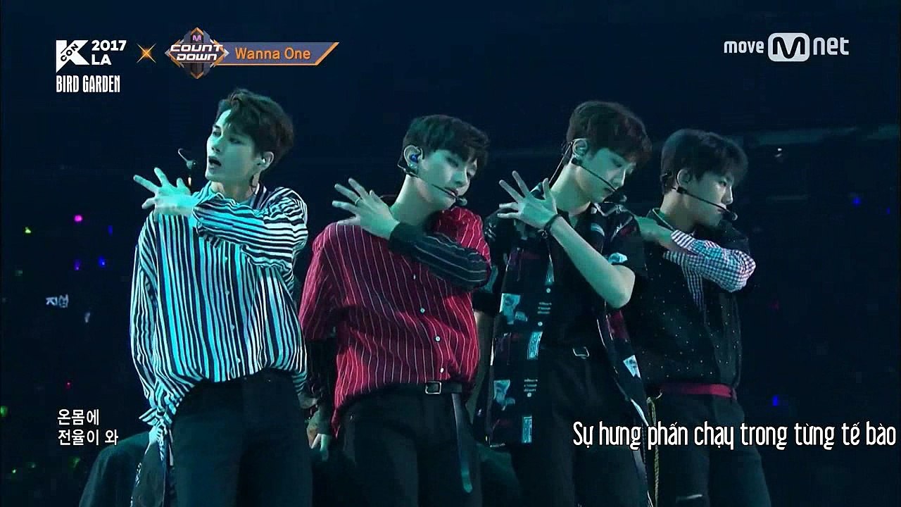 [Vietsub] Wanna One - INTRO+EnergeticㅣKCON 2017 LA x M COUNTDOWN EP.539