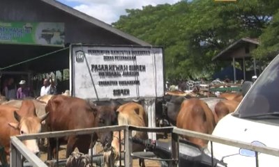 Jelang Idul Adha, Warga Aceh Gelar Tradisi Meugang