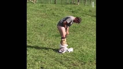 Il s'assoit sur une ruche pour 500€... Défi piquant et douloureux