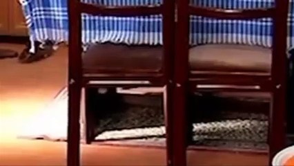مسلسل مصير اسية الحلقة 222 كاملة - Masir Asiya Ep 222 Full 2M(1)