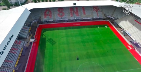 Les secrets de la pelouse