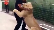 ❤️ مشهد خطير لكن جميل ورائع ❤️ سبحان الله في خلقه