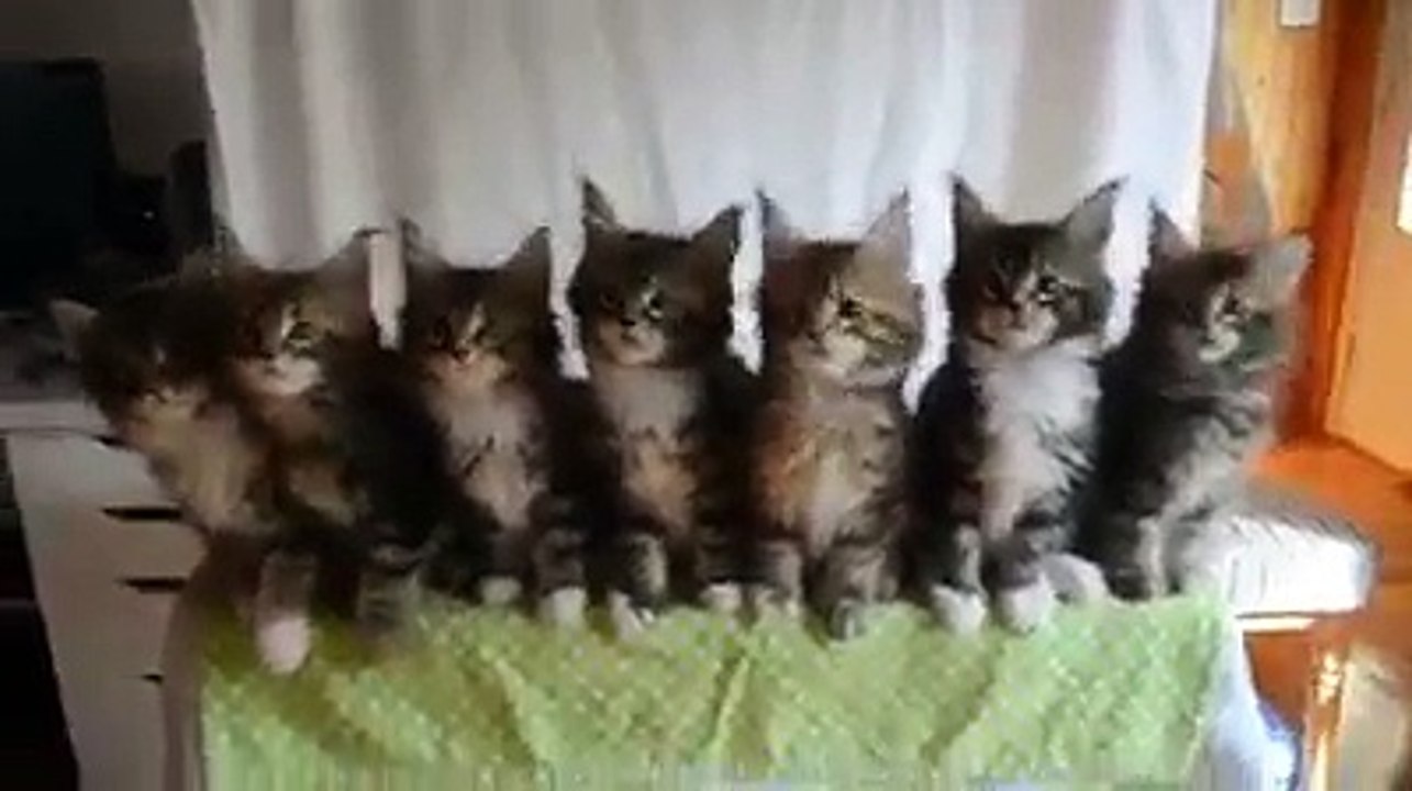 ❤️الله على الجمال والتناسق ❤️سبحان الله