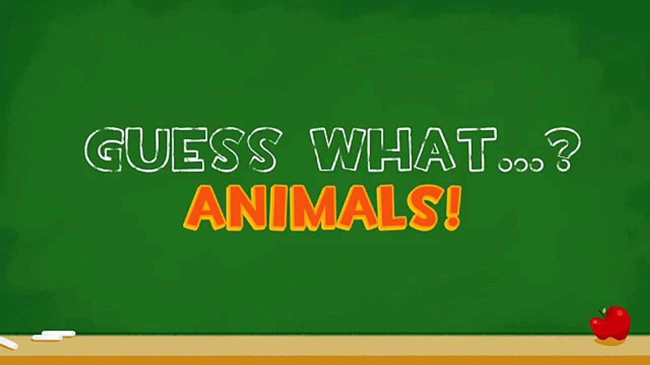 Zoo Animals Game Guessing Game For Kids Cheeritoons Video Dailymotion