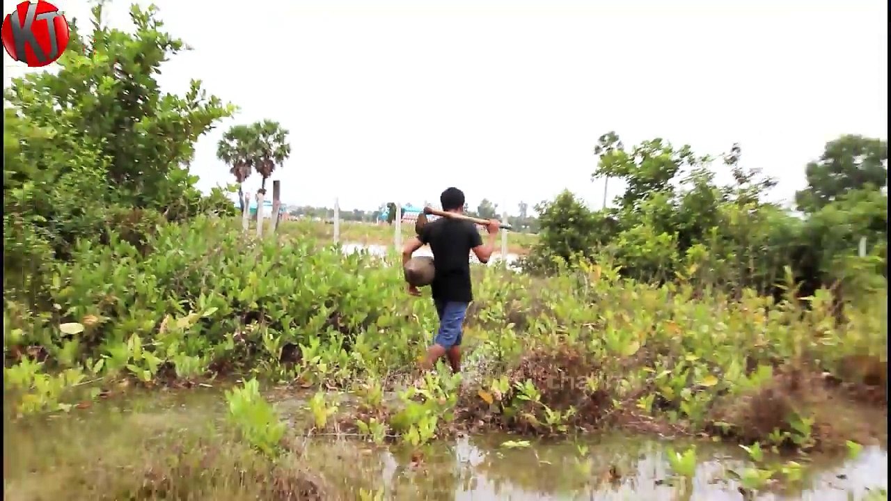 Amazing Human Catching Snake Using The Net - How to Catch Water Snake in Cambodia