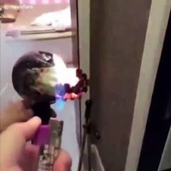 Elle en a marre que son mari enfume la maison, elle se venge d'une manière horrible !