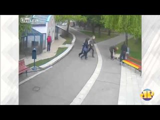 Lobo ataca menina de 2 anos em zoológico