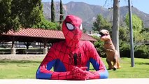 Compilación héroe en en vida hombre araña súper superhéroes tirano saurio Rex vídeo Vs real |