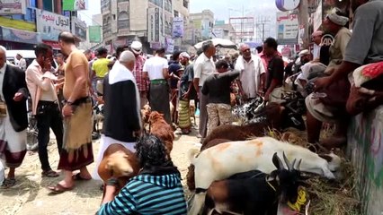 Yemen'de Kurban Bayramı'na Doğru