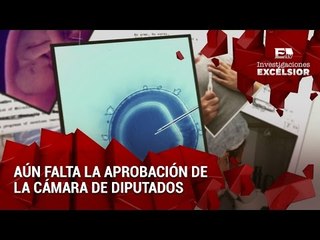 Maternidad subrogada: Vacío legal