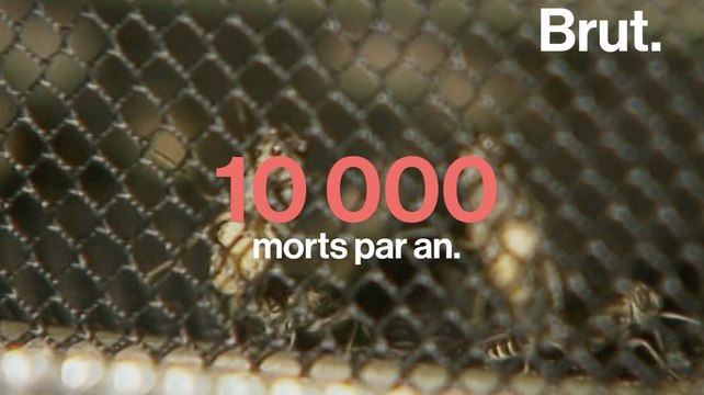 8 espèces qui pourraient vous tuer