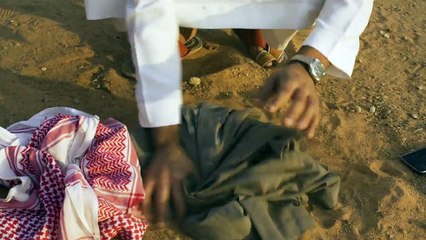 كيف تختار الأضحية؟