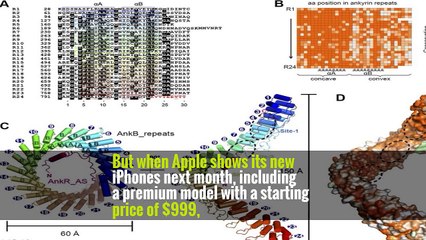 The Smartphone’s Future: It’s All About the Camera