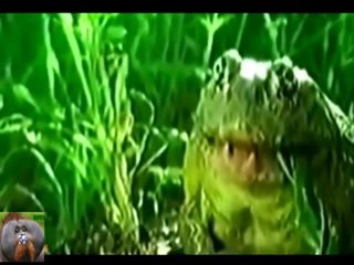 Frogs eating snakes, whole snake see to believe