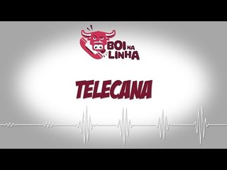 Boi na Linha - Telecana