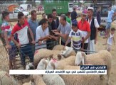 الجزائر: ارتفاع غير مسبوق في أسعار أضاحي العيد