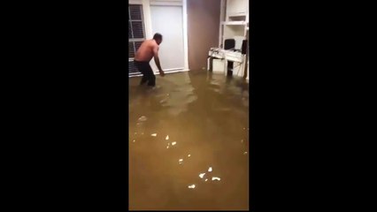 Il pêche un poisson en plein cœur de son salon