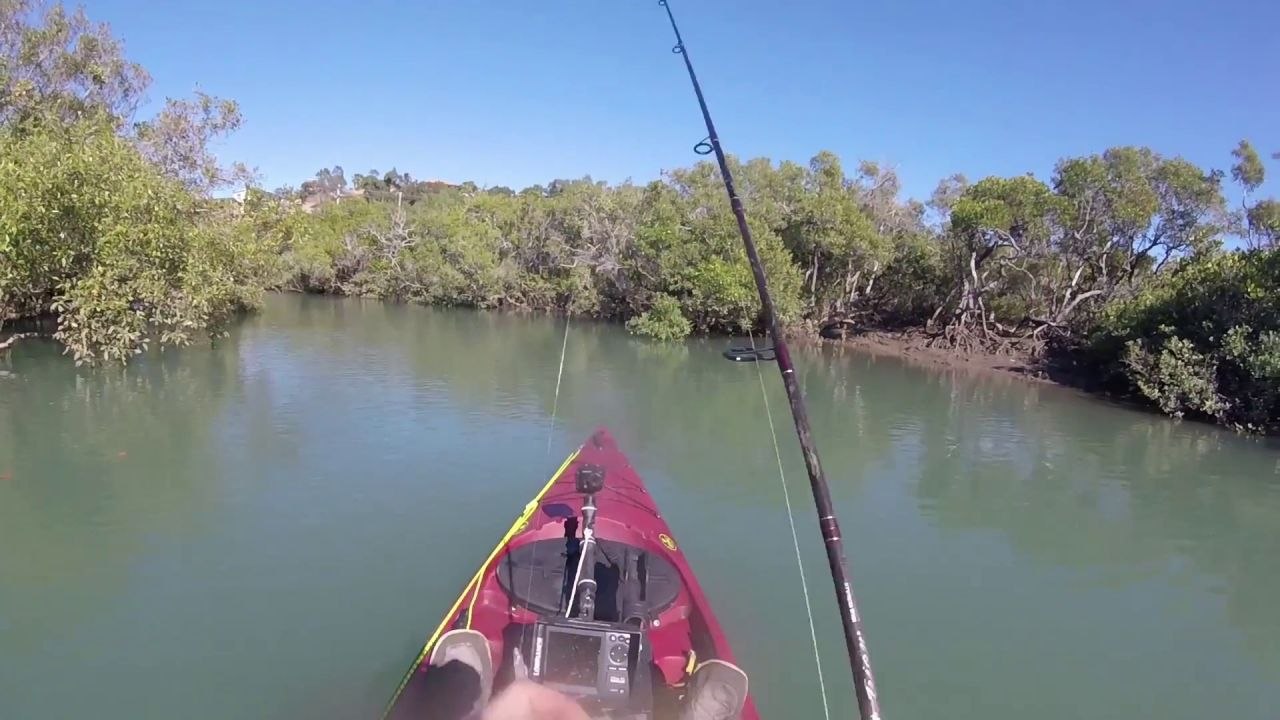 Ce kayakiste pensait avoir trouvé un coin tranquille pour pêcher (Australie)