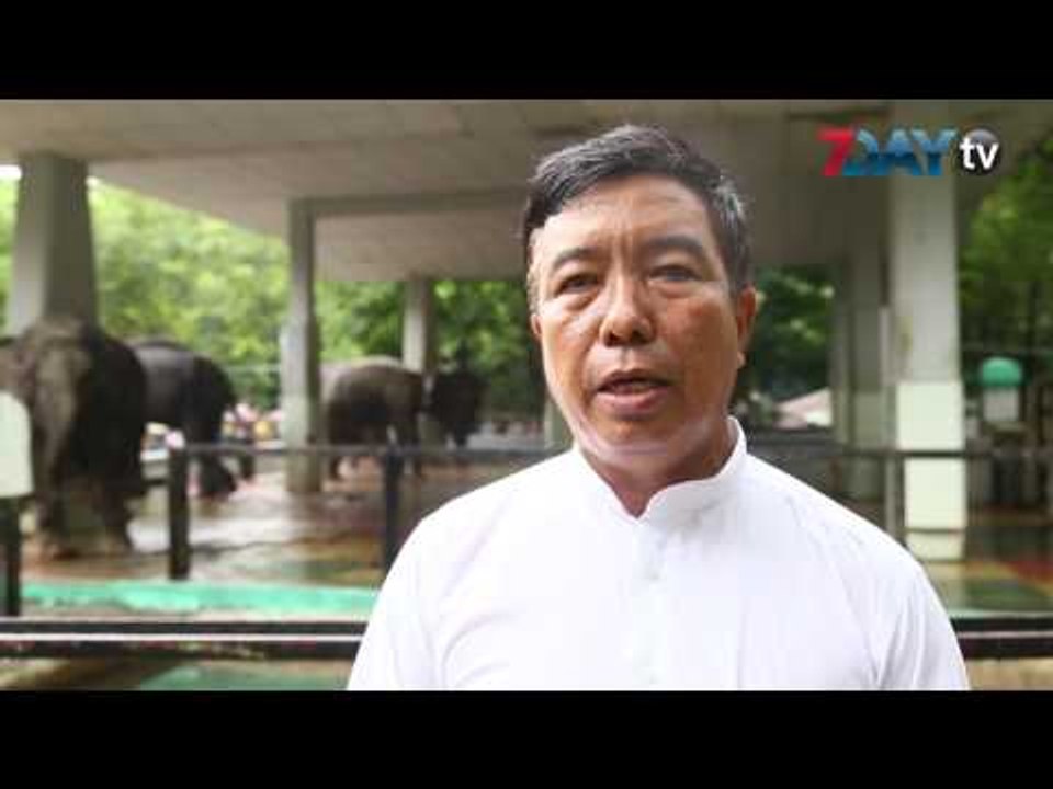 ၆၃ ႏွစ္ျပည့္သြားတဲ့ မိုမိုရဲ႕ ေမြးေန႔ပြဲ