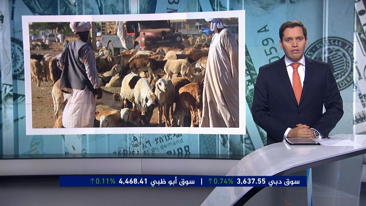 النشرة الاقتصادية الثانية 2017/8/31