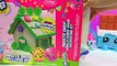 DIY Shopkins Rainbow Candy Christmas Cookie House Kit - Cookieswirlc Video