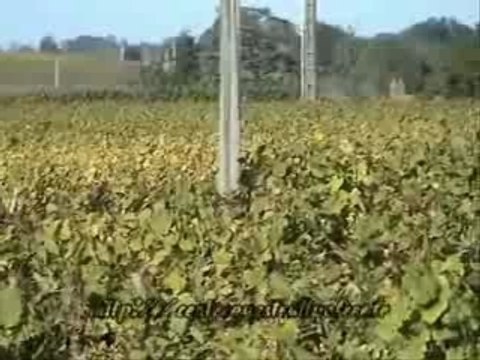 Rallye Vignoble Sevre et Maine