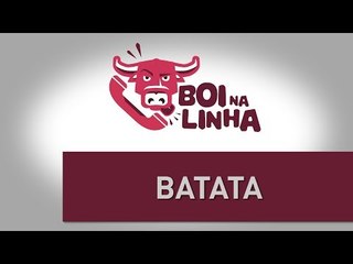 Boi na Linha: Batata