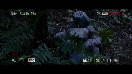 Temple - Entering the Temple