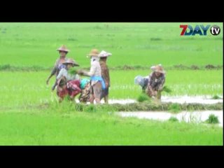 လယ္သမားေတြဆီကႀကိဳတင္ခြန္မေကာက္ဖို႕လုပ္သြားမယ္လို႕ ဝန္ႀကီး ေဒါက္တာ ေအာင္သူ ေျပာျပီ