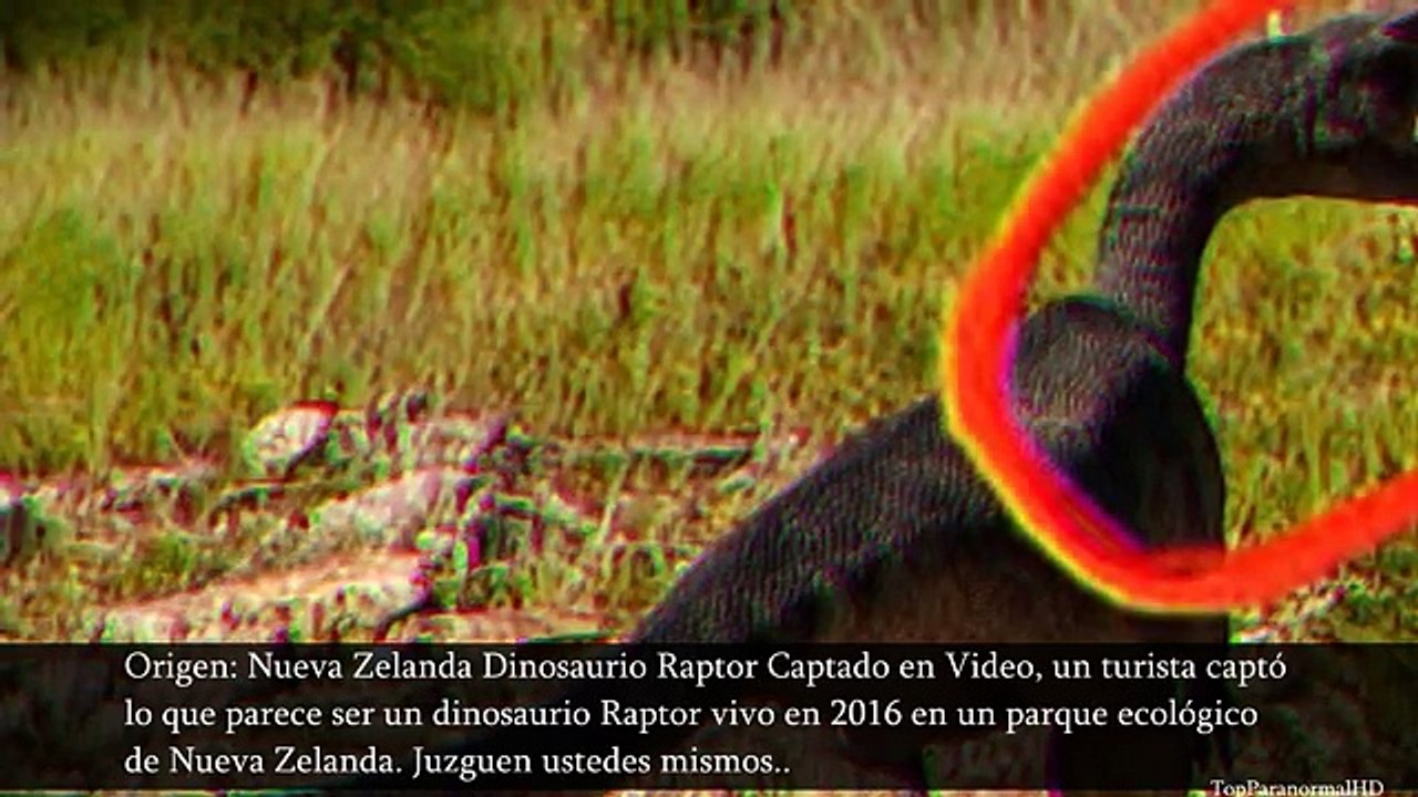 5 Dinosaurios Captados En Cámara Y Vistos En La Vida Real - video  Dailymotion