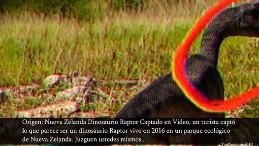5 Dinosaurios Captados En Cámara Y Vistos En La Vida Real - video