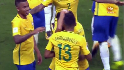 All Goals Brazil vs. Ecuador 2-0