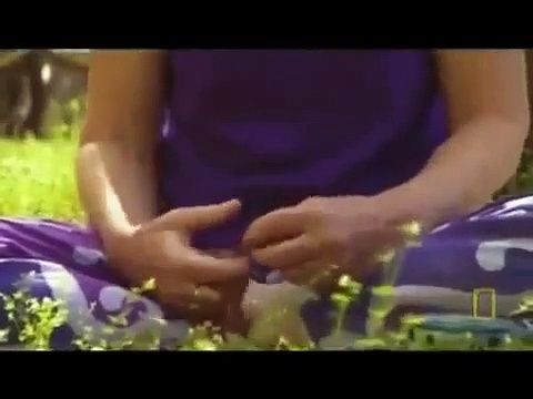 Psychedelic drug - Psychedelic Drugs