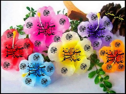 مولاي صل و سلم دائما أبدا على حبيبك خير الخلق كلهم