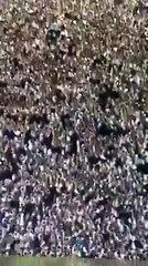 صلاة العيد في مكة المكرمة
