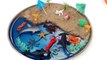 Learn Names of SEA ANIMALS-Cute Mini Beach Sea Imitation-Sand Play-Dolphin,Shark,,Lobster,