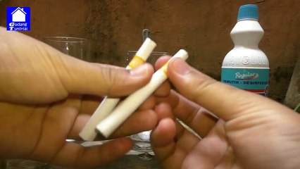 24.EKSPERIMEN ROKOK DI CAMPUR PEMUTIH BAJU