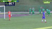 Chelmianka 1:0 Stal Rzeszow (Polish III Liga 30 August 2017)