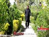 Pashto New Hd Full Album 2017 Makawa Kar Ba Rala Ogoree Vol 15 Video 15