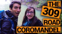 The 309 Road in the Coromandel – New Zealand’s Biggest Gap Year – Backpacker Guide New Zealand