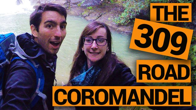 The 309 Road in the Coromandel – New Zealand’s Biggest Gap Year – Backpacker Guide New Zealand