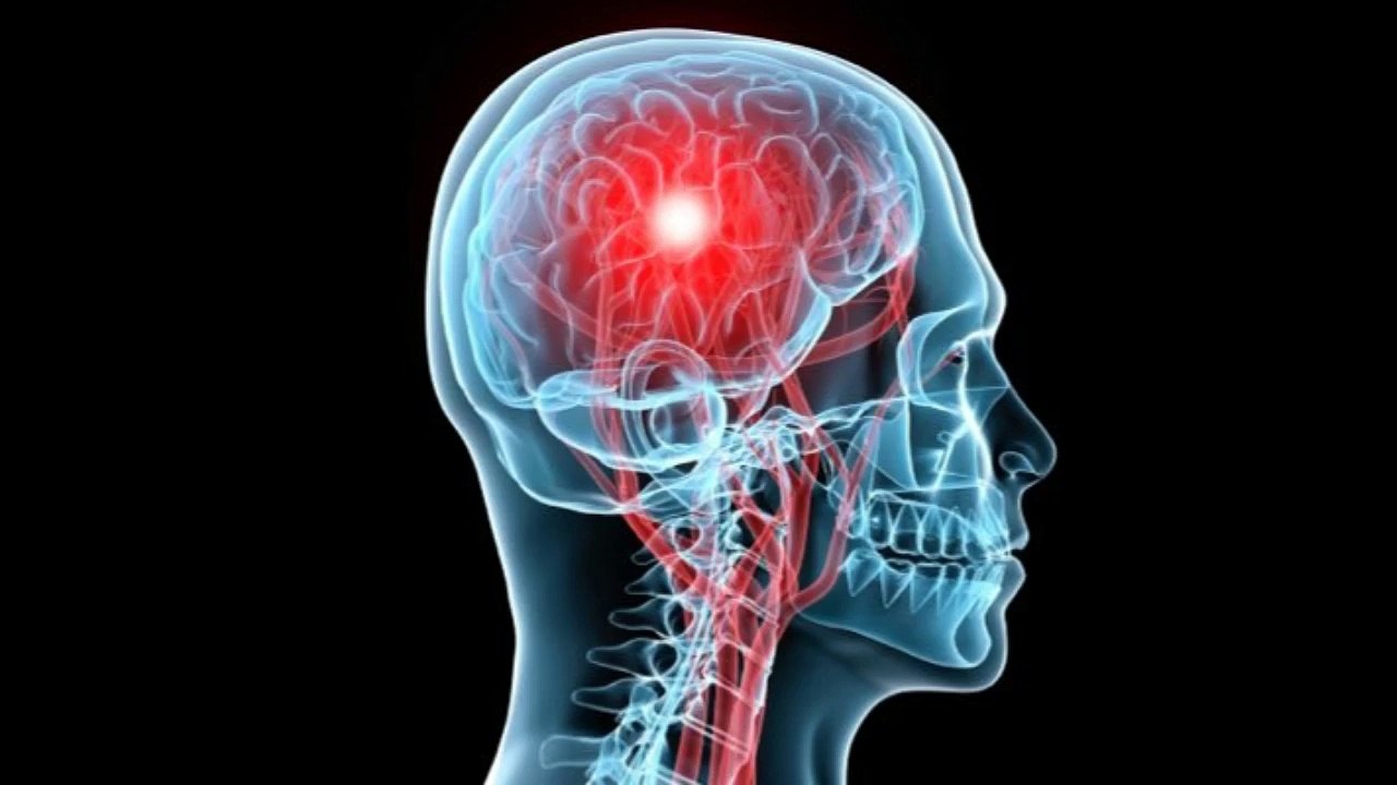 Brain360 Brain Booster