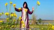 Pashto New Hd Full Album 2017 Sta Tore Starge Zama Yadegi Video 11
