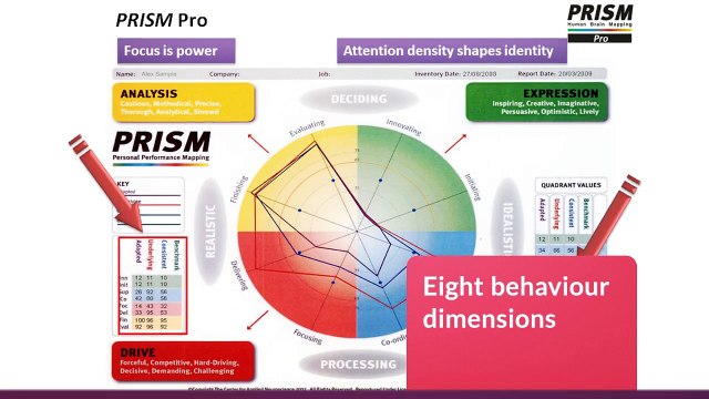 PRISM Brain Mapping- Unlock the secret to improve performance
