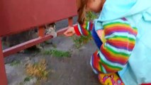 Amis jouets avec Kitty Daisy déballer chat marche jouer SEAL marguerite FURREAL