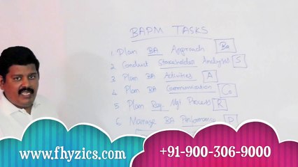 Business Analysis BAPM Tasks