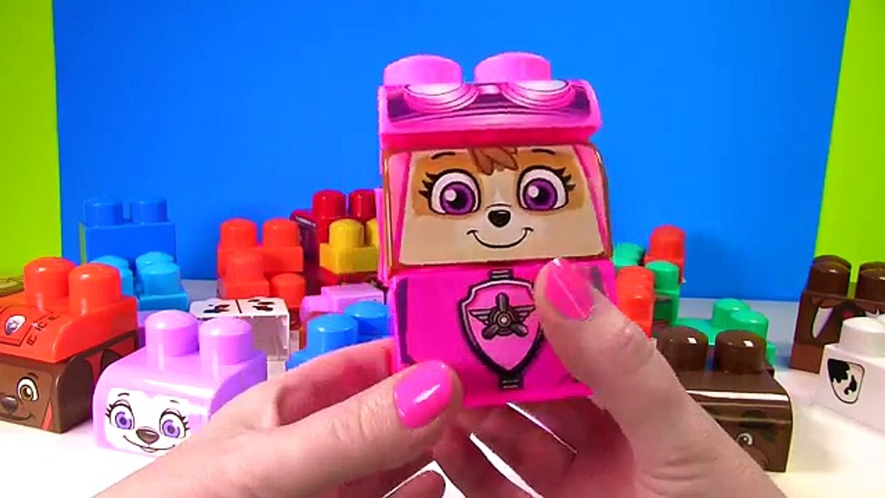 Лучший Лучший органы Дети цвета для головки Ионикс обучение совпадение патруль лапа дошкольного видео