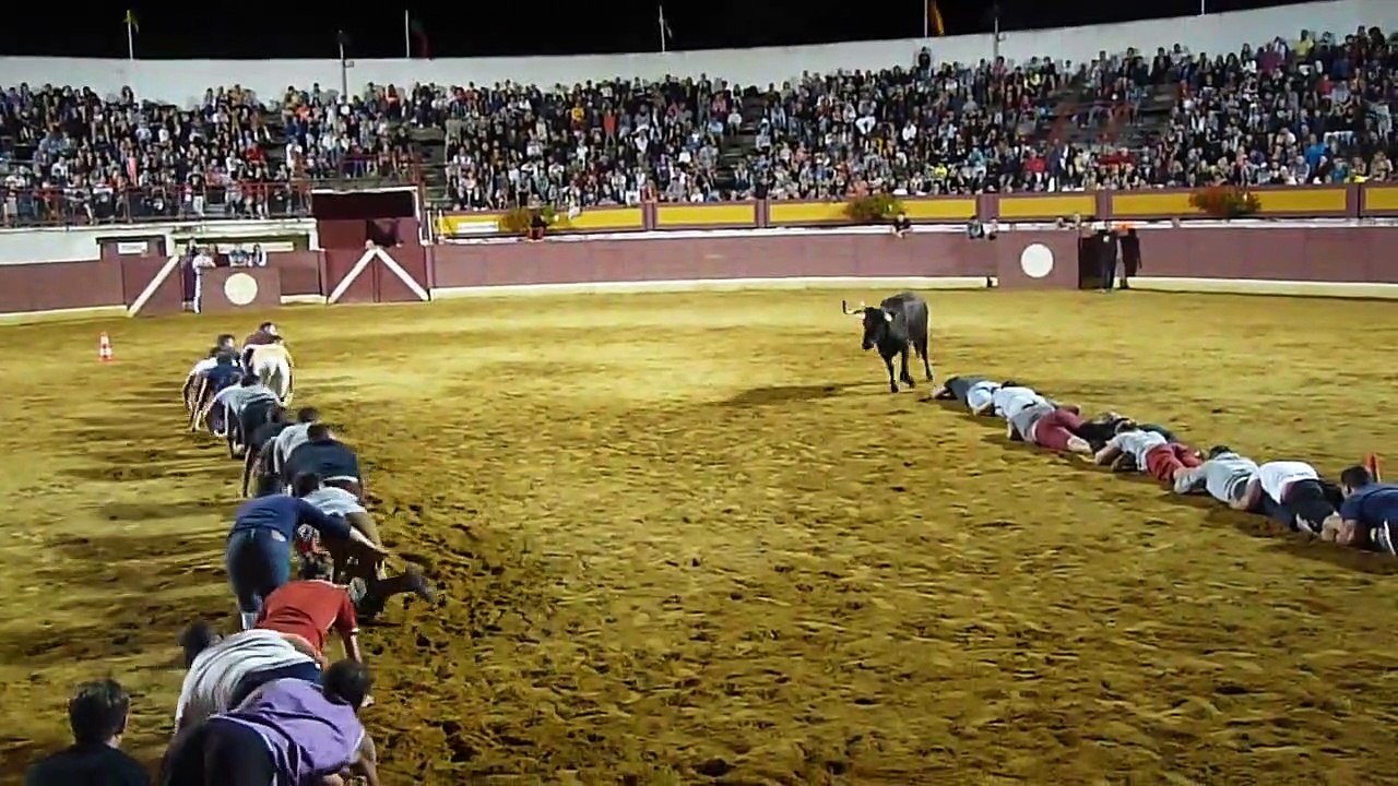 La réaction de cette vachette face à ces 2 chenilles humaines est juste hilarante
