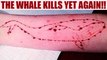 Blue whale: 19 year old hangs himself from tree in Pondicherry | Oneindia News